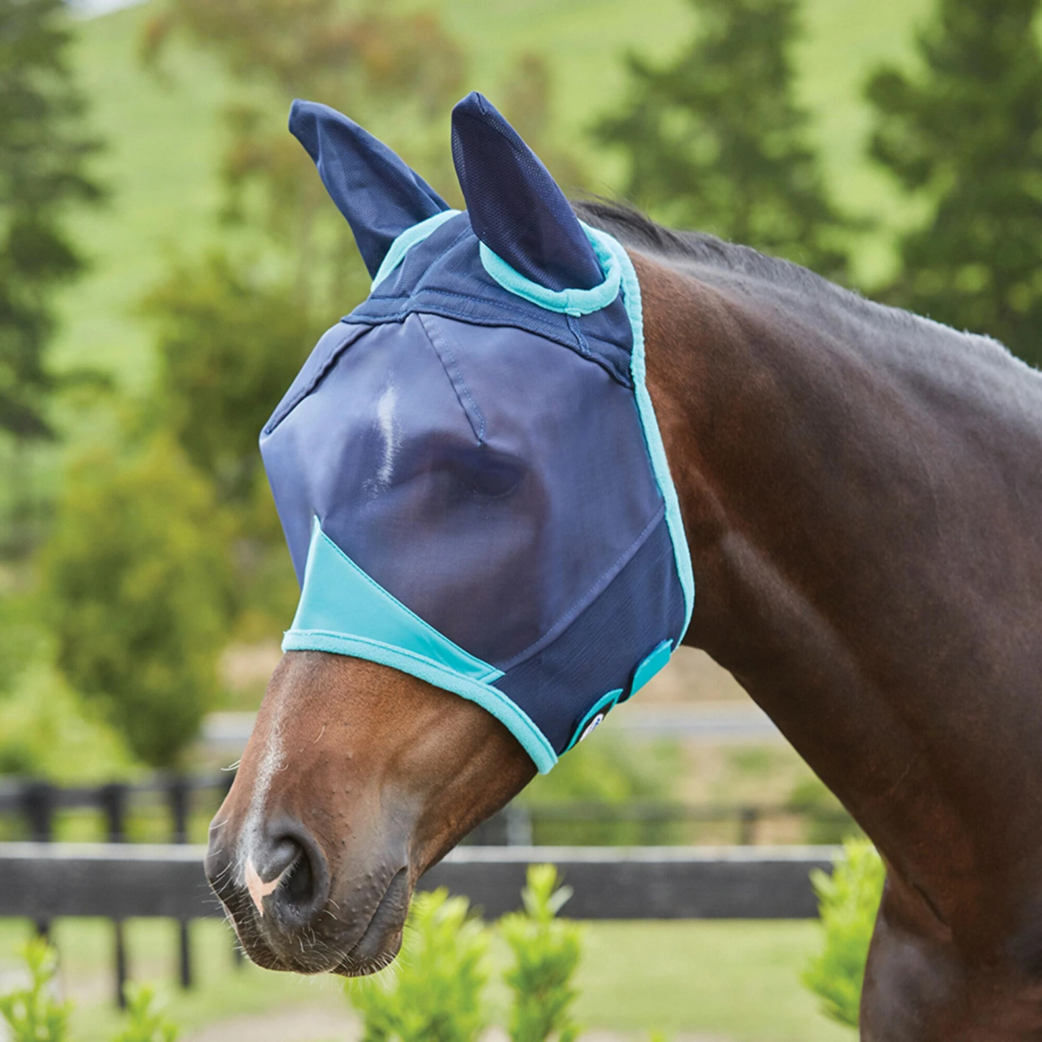 Weatherbeeta Comfitec Fine Mesh Mask With Ears (Navy/Turquoise) 1 Weatherbeeta Comfitec Fine Mesh Mask With Ears (Navy/Turquoise)