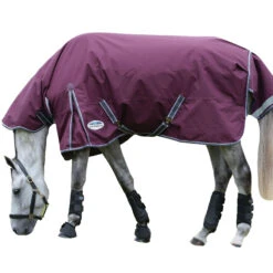Weatherbeeta Comfitec Plus Dynamic II Combo Neck Midweight Horse Turnout Rug 6 Weatherbeeta Comfitec Plus Dynamic II Combo Neck Midweight Horse Turnout Rug -Weatherbeeta Sales Store k00a3222c65face414582a9d849ea8535
