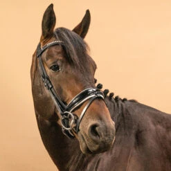 Horse & Pony Dressage Bridle 900 -Weatherbeeta Sales Store k04636ff1d88371f77843c2b81e8069d4