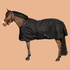 Horse Riding Waterproof Rug 1000D For Horse And Pony Allweather 200g 23 Horse Riding Waterproof Rug 1000D For Horse And Pony Allweather 200g -Weatherbeeta Sales Store k06b2c304bef01a6f62088a3401022985