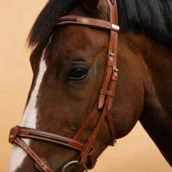 Horse Riding Leather Bridle With French Noseband For Horse & Pony 900 27 Horse Riding Leather Bridle With French Noseband For Horse & Pony 900 -Weatherbeeta Sales Store k071ba13641856a5a008094f898d922a2
