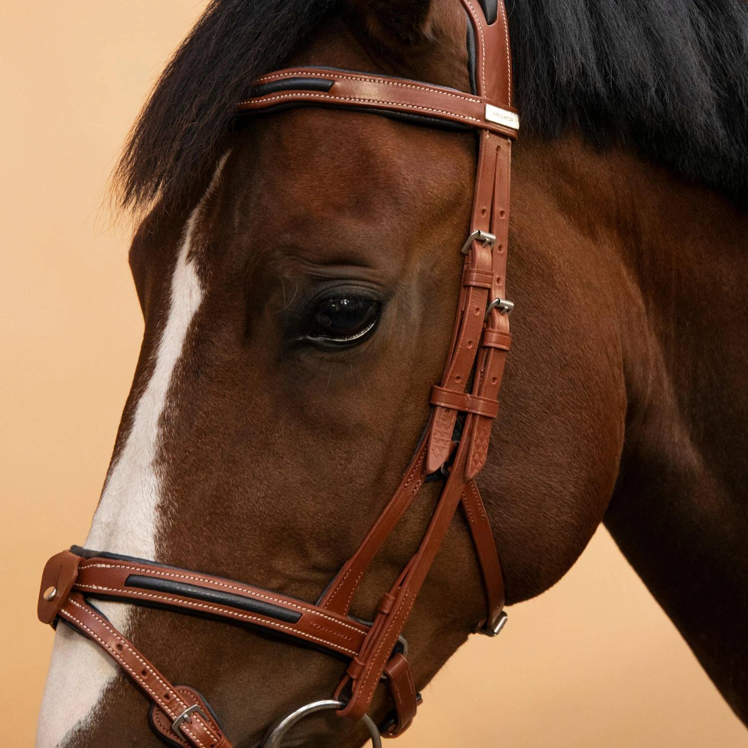 Horse Riding Leather Bridle With French Noseband For Horse & Pony 900 9 Horse Riding Leather Bridle With French Noseband For Horse & Pony 900 - Image 9