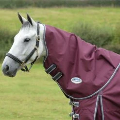 Weatherbeeta Comfitec Plus Dynamic II Lite Horse Turnout Neck Cover (Maroon/Grey/White) 5 Weatherbeeta Comfitec Plus Dynamic II Lite Horse Turnout Neck Cover (Maroon/Grey/White) -Weatherbeeta Sales Store k08ebc8545468bc6a45a260c0b8956f1b