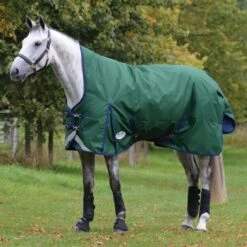 Weatherbeeta Comfitec Plus Dynamic II HighNeck Lightweight Horse Turnout Rug (Hunter 5 Weatherbeeta Comfitec Plus Dynamic II HighNeck Lightweight Horse Turnout Rug (Hunter -Weatherbeeta Sales Store k0bcfb961e7fd3b084fe29a6dee849086