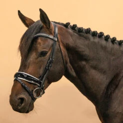 Horse & Pony Dressage Bridle 900 -Weatherbeeta Sales Store k10604c6fd3f89112830136794ccf7de0