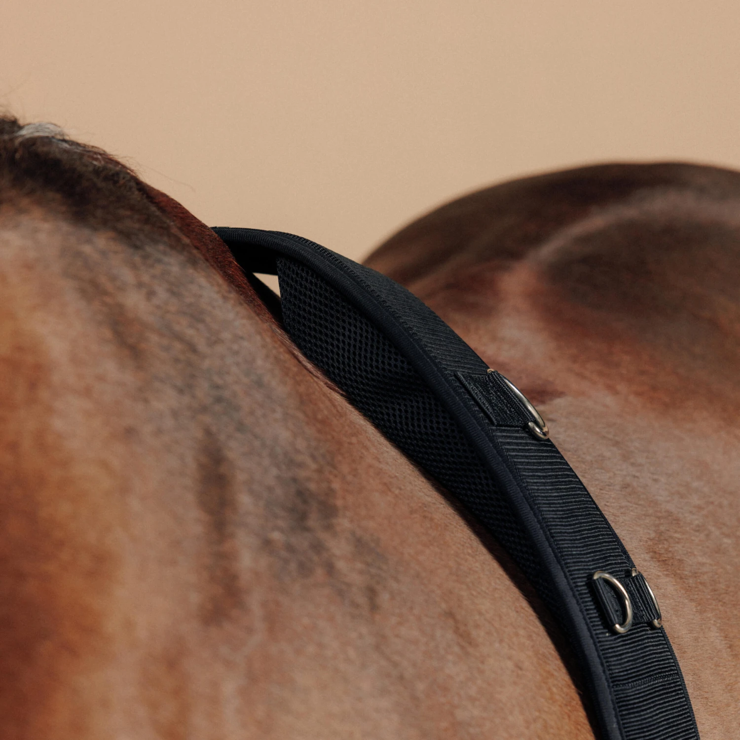 Horse Riding Horse Or Pony Lunging Roller 6 Horse Riding Horse Or Pony Lunging Roller - Image 6