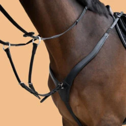 Horse And Pony Riding 3-Point Hunting Martingale -Weatherbeeta Sales Store k11952bf61f544b49183b0dd65bb49e12