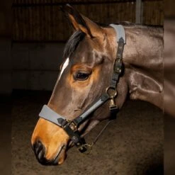 HAREWOOD HEADCOLLAR -Weatherbeeta Sales Store k16b31e90d001532fb7bb5c3f78dd6010