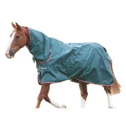 Typhoon Lite Combo Neck Horse Combo Turnout Rug (Green)