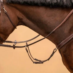 5-Point Hunting Martingale For Horse & Pony -Weatherbeeta Sales Store k18864c93c9a66ed88cc11addf8690a53