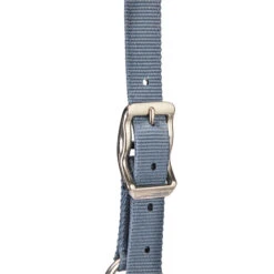 Horse Riding Halter + Leadrope Set - Nubuck/Blue -Weatherbeeta Sales Store k19dff28454aaf9ad1caebfde1dbe39fa