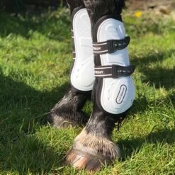 Bingley Tendon And Fetlock Boots -Weatherbeeta Sales Store k1a0f319ddc46d34ebc92ab18e4d7f5a8