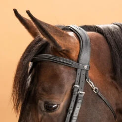 Horse & Pony Leather Bridle With French Noseband 580 -Weatherbeeta Sales Store k1b6ed42082c2cd1f4bf1bbcc8c25f11e