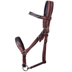 Trail Horse Riding Bridle / Halter And Reins Escape - Brown -Weatherbeeta Sales Store k1bd2030751ce6bdf72631e3980c0e649