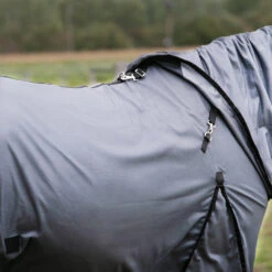 Horse Riding Fly Sheet For Horse & Pony 100 -Weatherbeeta Sales Store k1d42f01a26a16c988f17c26ed9928302