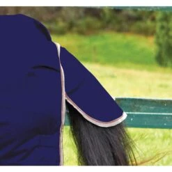 Weatherbeeta Comfitec Essential Combo Neck Horse Turnout Rug (Navy/Silver/Red) -Weatherbeeta Sales Store k218ede9c6edfc40fca4b8a6939a7902a