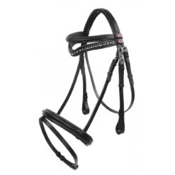 Lynton Flash Bridle With X2 Browbands -Weatherbeeta Sales Store k2600663c07f8c4d69e2c7c5c6df85e3a