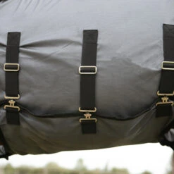 Horse Riding Fly Sheet For Horse & Pony 100 -Weatherbeeta Sales Store k26c07e297af9129963cdae1822f4e6a2