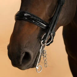 Horse & Pony Dressage Double Bridle 900 -Weatherbeeta Sales Store k27e605c041f895fdef5dbf662b45645c