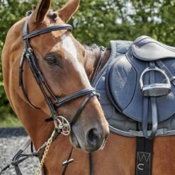 Barton Raised Flash Bridle Includes Rubber Reins -Weatherbeeta Sales Store k28be04e8c32651582db76d1ab50aecb9