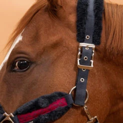 Horse Halter Comfort -Weatherbeeta Sales Store k29e839f743963f90f45939e70846ca01