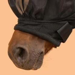 Horse Riding Fly Mask For Horse 500 -Weatherbeeta Sales Store k29fa6bef5befb3c10fbd8c78f6c82e26