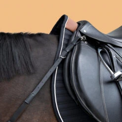 Horse And Pony Riding 3-Point Hunting Martingale -Weatherbeeta Sales Store k2ac23522959df1fd6149be2c403c32c6
