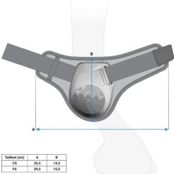 Fetlock Boots For Horses 500 Twin-Pack -Weatherbeeta Sales Store k2e741c8663c76425ac3fcb5217ef1d16