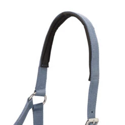 Horse Riding Halter + Leadrope Set - Nubuck/Blue -Weatherbeeta Sales Store k3259298ab40eb34366c7f062860d165e