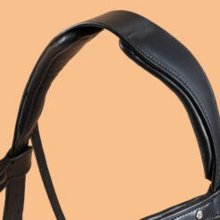 Horse & Pony Dressage Bridle 900 -Weatherbeeta Sales Store k36f4e60c022fc1481813d3e9bdd647d4