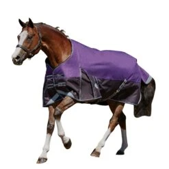 Weatherbeeta Comfitec Plus Lite Dynamic Standard Neck Turnout Rug (Purple/Black)