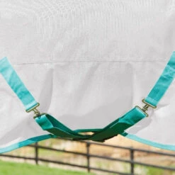 Weatherbeeta GreenTec Plus Combo Neck Lightweight Horse Turnout Rug (Light Grey/Bottle Green) 7 Weatherbeeta GreenTec Plus Combo Neck Lightweight Horse Turnout Rug (Light Grey/Bottle Green) -Weatherbeeta Sales Store k386fb34c00711e372b38c9b2dc1d092b