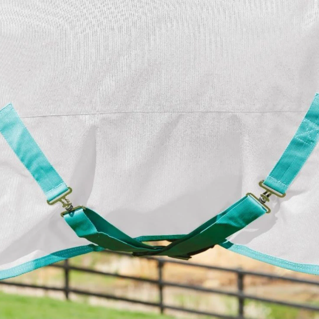 Weatherbeeta GreenTec Plus Combo Neck Lightweight Horse Turnout Rug (Light Grey/Bottle Green) 4 Weatherbeeta GreenTec Plus Combo Neck Lightweight Horse Turnout Rug (Light Grey/Bottle Green) - Image 4