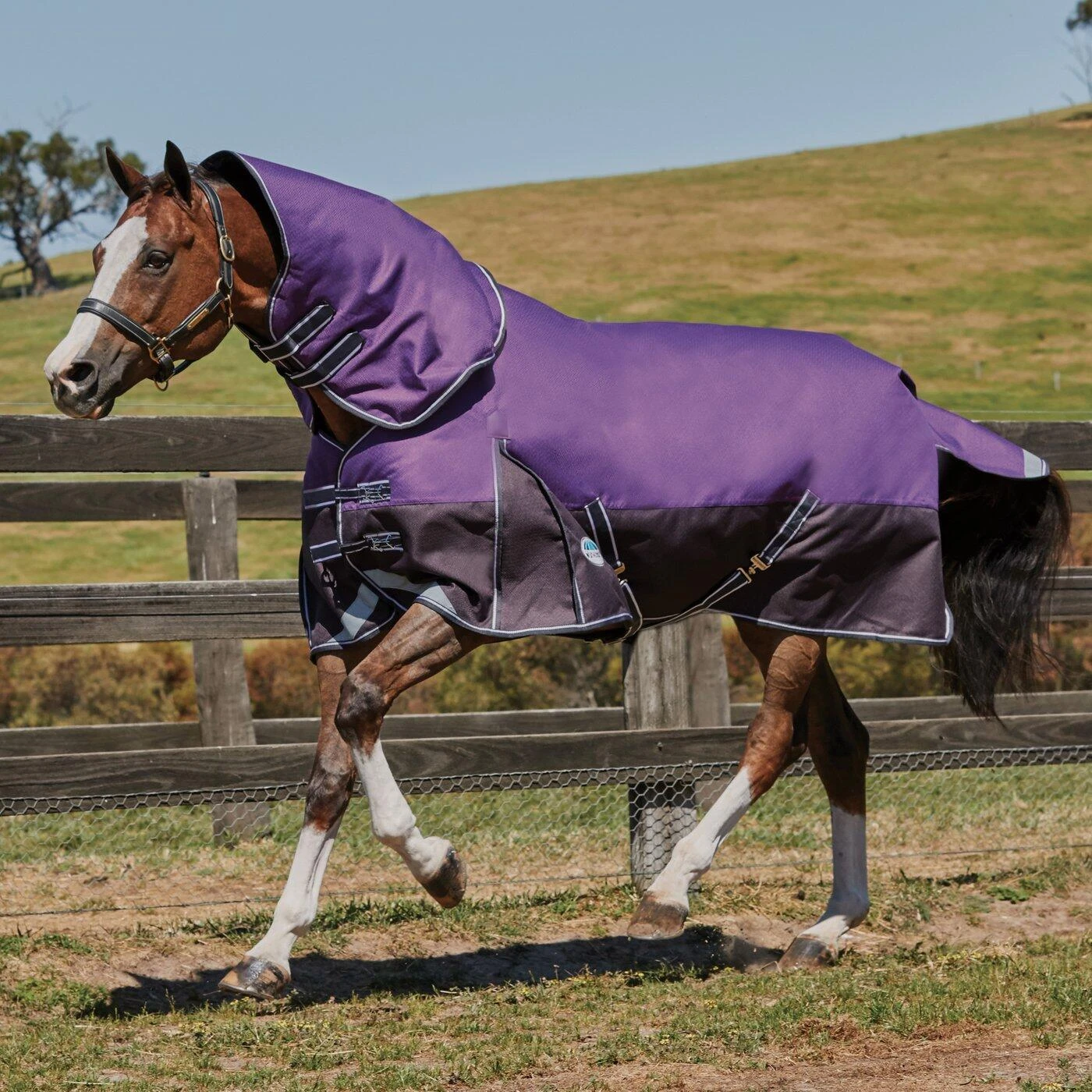 Weatherbeeta Comfitec Lite Plus Dynamic DetachANeck Turnout Rug (Purple/Black) 4 Weatherbeeta Comfitec Lite Plus Dynamic DetachANeck Turnout Rug (Purple/Black) - Image 4