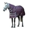 Weatherbeeta Comfitec Plus Dynamic II Horse Stable Rug (Maroon/Grey/White)