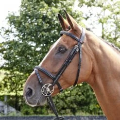 Barton Raised Flash Bridle Includes Rubber Reins -Weatherbeeta Sales Store k3d36d1279d2dd4c4d457a46ad2d4e6a0