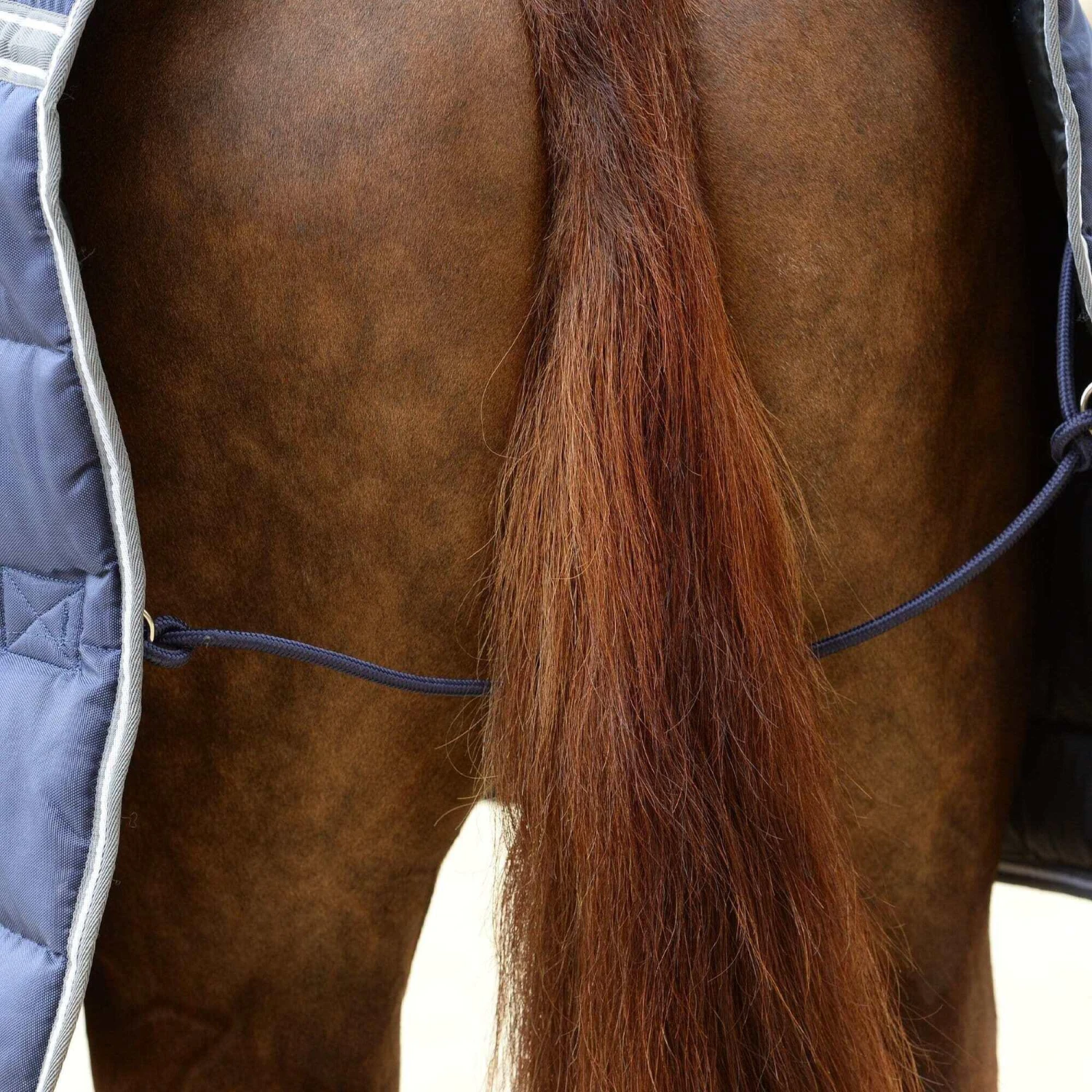 Weatherbeeta Comfitec PP II Combo Neck Channel Quilt Heavyweight Horse Turnout Rug (Dark 2 Weatherbeeta Comfitec PP II Combo Neck Channel Quilt Heavyweight Horse Turnout Rug (Dark - Image 2