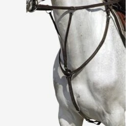 Romeo Horse And Pony Breastplate + Martingale