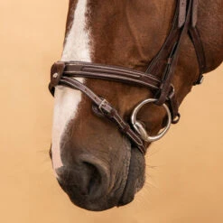 Horse Riding Leather Bridle With French Noseband For Horse & Pony 900 36 Horse Riding Leather Bridle With French Noseband For Horse & Pony 900 -Weatherbeeta Sales Store k3f3f4ef5b114f71ee30f2dfc83d63ef5