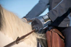 560 Kids' Horse Riding Gloves -Weatherbeeta Sales Store k3fd4fdab1a51a533bb5fbf54ac4ed94a