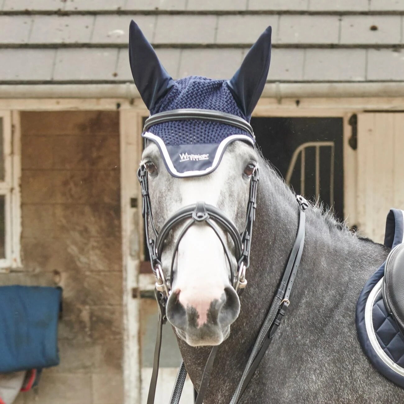 EASTWOOD CRANK BRIDLE INCLUDING REINS 2 EASTWOOD CRANK BRIDLE INCLUDING REINS - Image 2