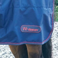 Rastrick 250G Combo Turnout Rug 9 Rastrick 250G Combo Turnout Rug -Weatherbeeta Sales Store k42a392ebb3d1dd2be42af4d50b96e64b