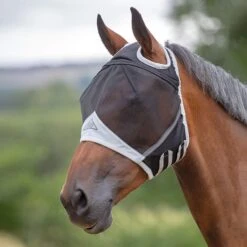 Fine Mesh Ear Holes Horse Fly Mask (Black) 3 Fine Mesh Ear Holes Horse Fly Mask (Black) -Weatherbeeta Sales Store k434799a3fd82d282af02623414138a15