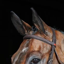 Ready To Ride Flash Bridle 14 Ready To Ride Flash Bridle -Weatherbeeta Sales Store k44160a670c481134d4f3a8f474743bc7