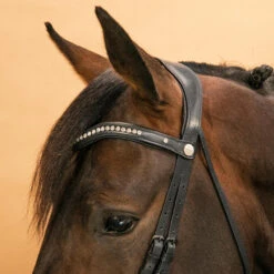 Horse & Pony Dressage Bridle 900 -Weatherbeeta Sales Store k47dabceb6ef89a996c4dd39ad1264215