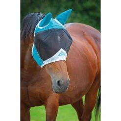 Fine Mesh Horse Fly Mask With Ears (Black) -Weatherbeeta Sales Store k49b535decfd0af79345c82175162c4b1