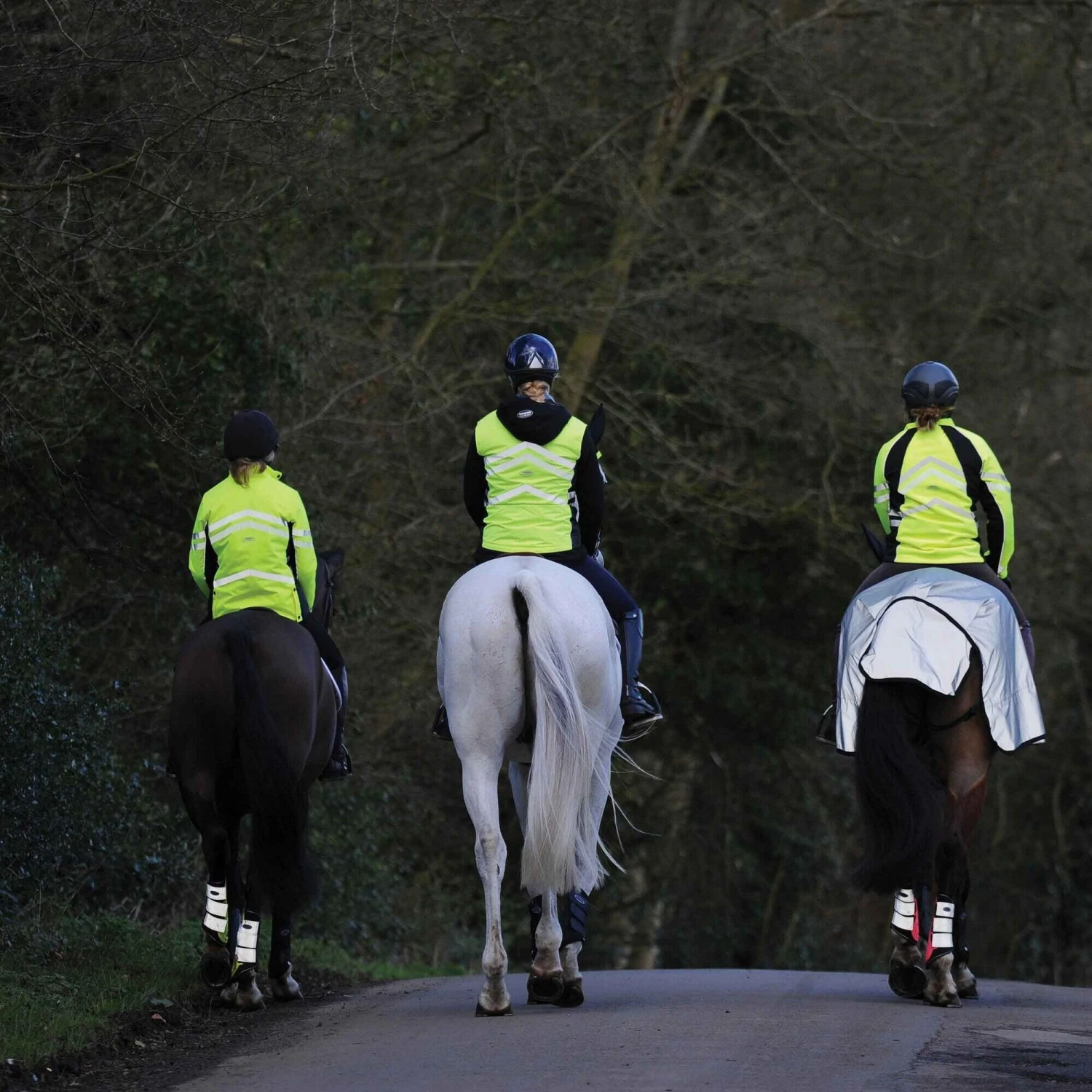 Weatherbeeta Reflective Wrap Around Horse Exercise Sheet (Silver/Black) 2 Weatherbeeta Reflective Wrap Around Horse Exercise Sheet (Silver/Black) - Image 2