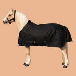 Horse Riding Waterproof Rug 1000D For Horse And Pony Allweather 200g 24 Horse Riding Waterproof Rug 1000D For Horse And Pony Allweather 200g -Weatherbeeta Sales Store k4ca21913e6057b13fe7c5b81360c442e