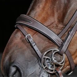 Chicago Breathable Leather Bridle -Weatherbeeta Sales Store k4f320abb3d4210b56ec54cde1a190022