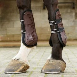 Bingley Tendon And Fetlock Boots -Weatherbeeta Sales Store k4f4e2de2047694aef34b1d2024287456